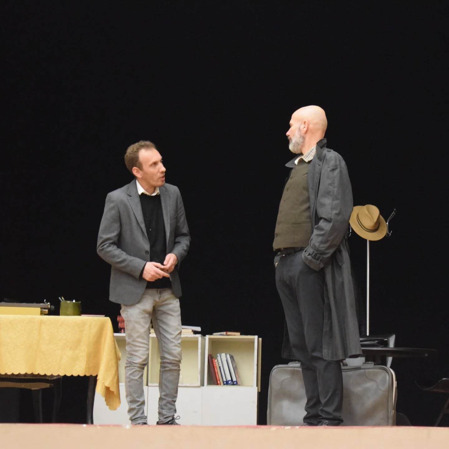 Хуманитарна представа „Професионалац“